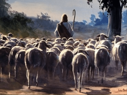 IV Niedziela Wielkanocna Dobrego Pasterza–21.04.2024 r.